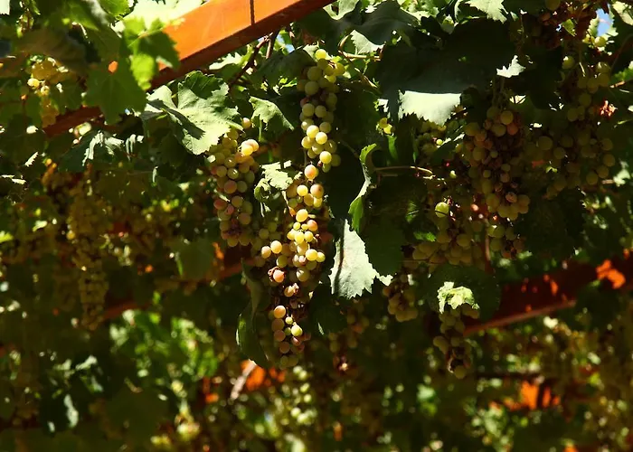 Апартаменты Gokcen Олудениз