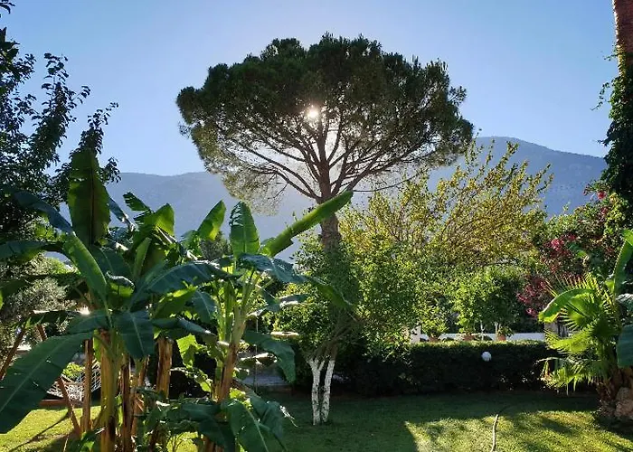 Apartmán Gokcen Oludeniz