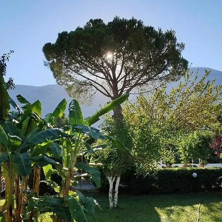 Lejlighed Gokcen Ölüdeniz
